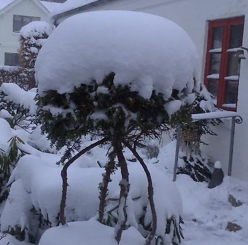 Gaeste Anneks Hos Hanne Villa *
